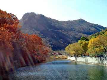 管家婆黑白马报图库，双氧水价格